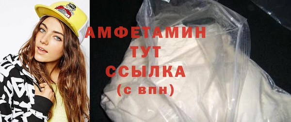 прущие грибы Лабытнанги