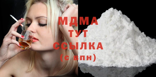 прущие грибы Лабытнанги
