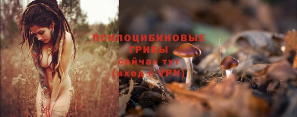 бутират Ладушкин