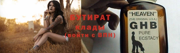 прущие грибы Лабытнанги