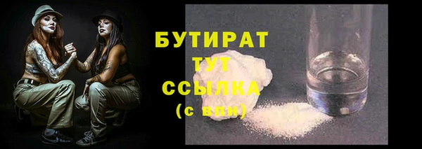 прущие грибы Лабытнанги