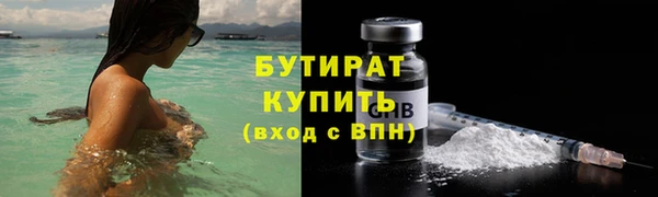 прущие грибы Лабытнанги
