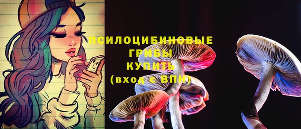 прущие грибы Лабытнанги