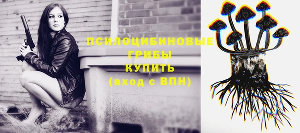прущие грибы Лабытнанги
