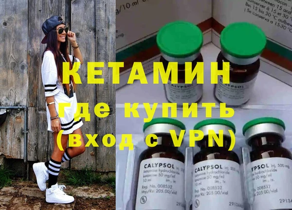 прущие грибы Лабытнанги