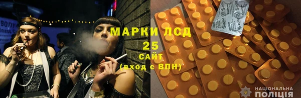 прущие грибы Лабытнанги