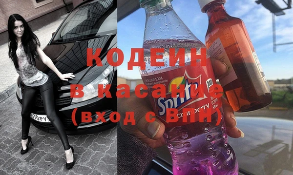 прущие грибы Лабытнанги