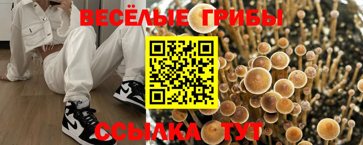 Галлюциногенные грибы Cubensis  Галлюциногенные грибы Psilocybe  Урай 