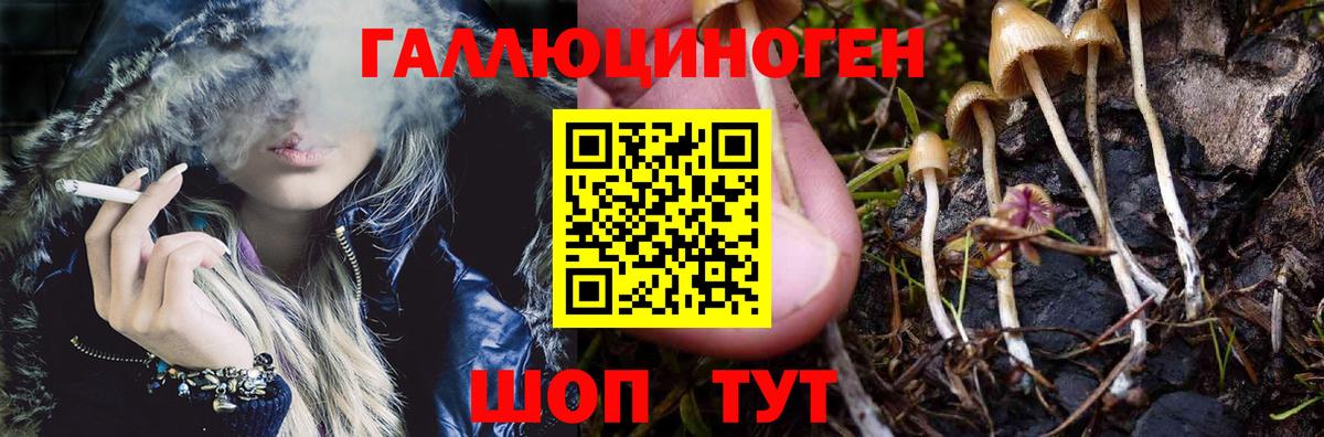 где продают   Вход с VPN  Урай  Псилоцибиновые грибы мицелий 